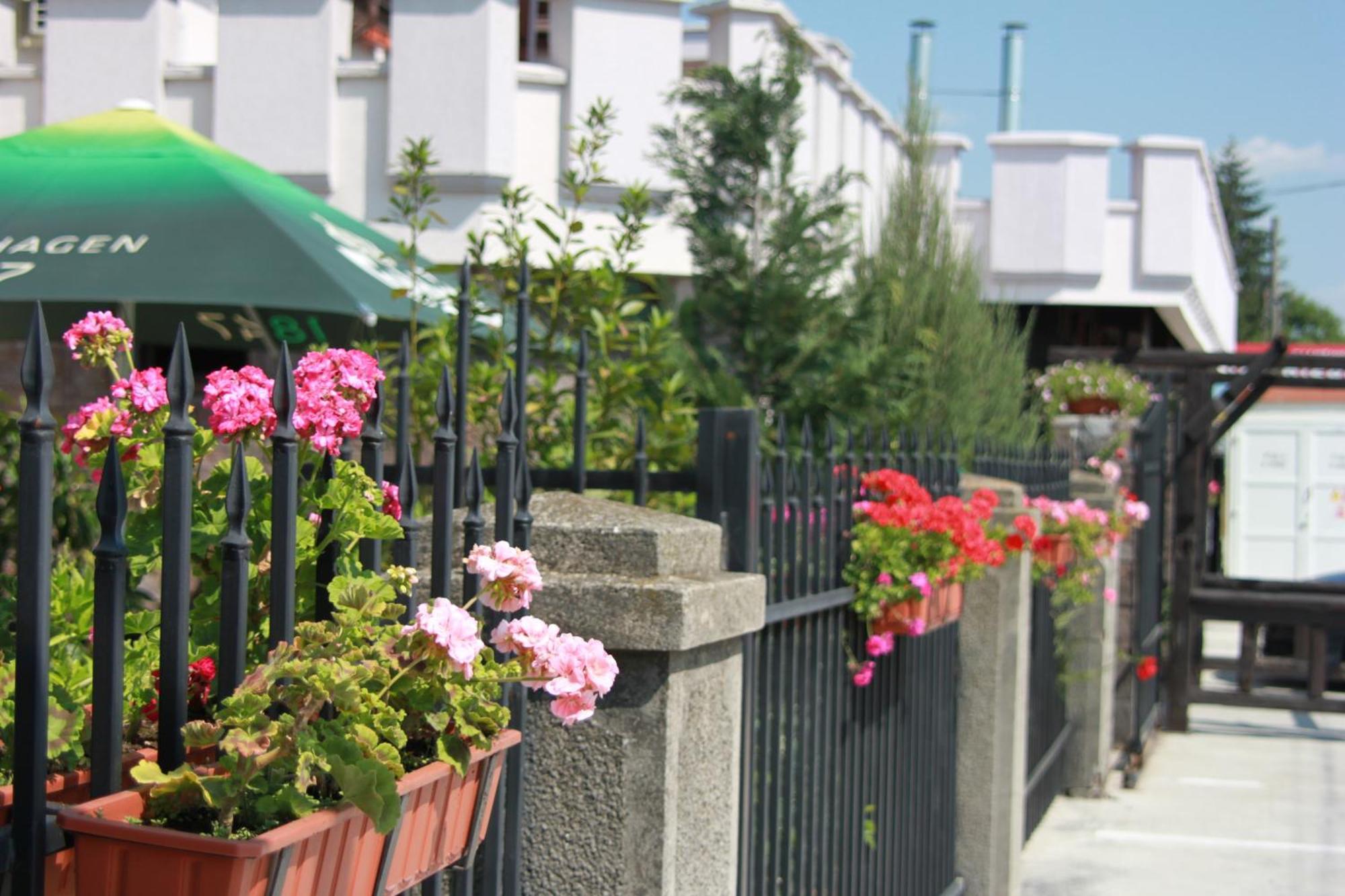 Hotel Lacetate Питешти Экстерьер фото